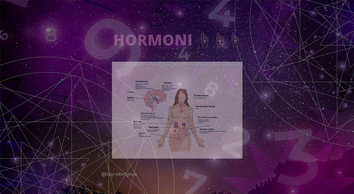 Hormoni2